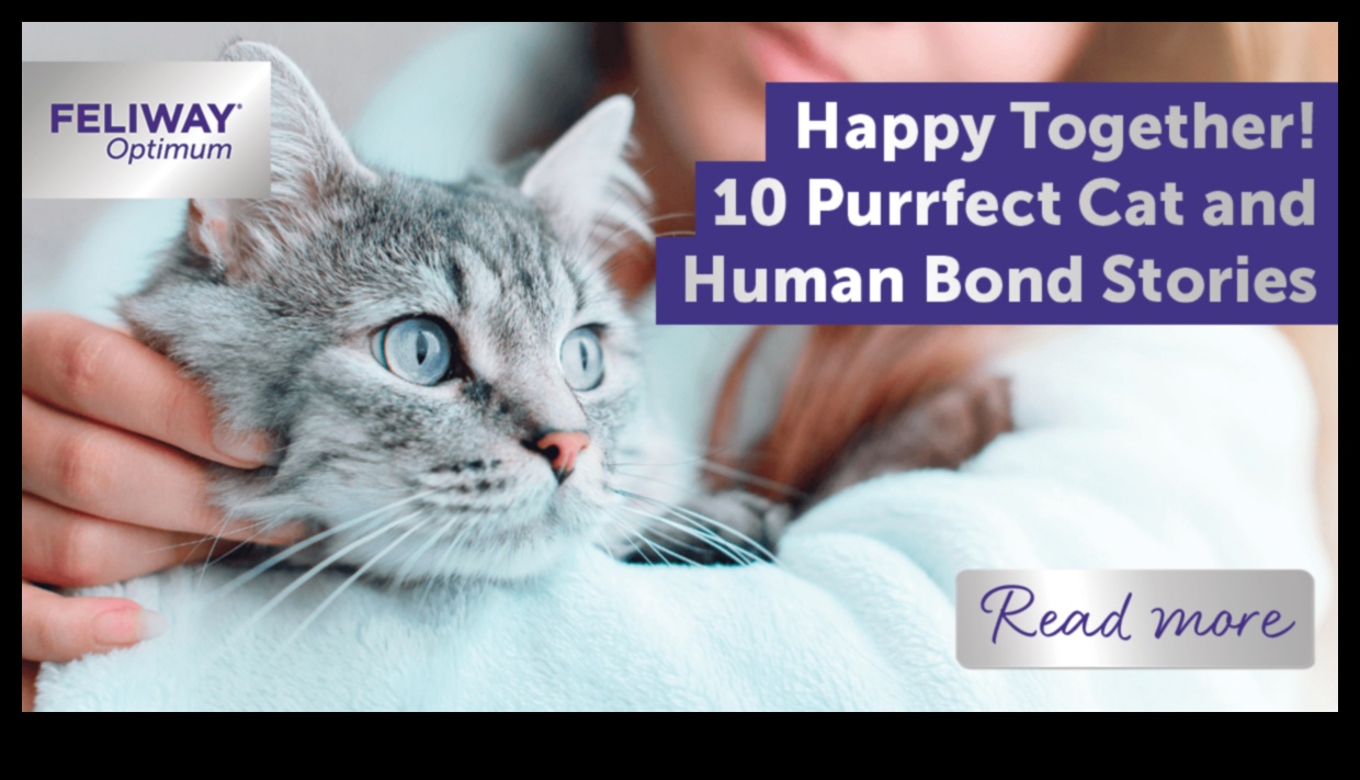 Purr-fect Partners: Exploring Cat-Human Bonds Through History