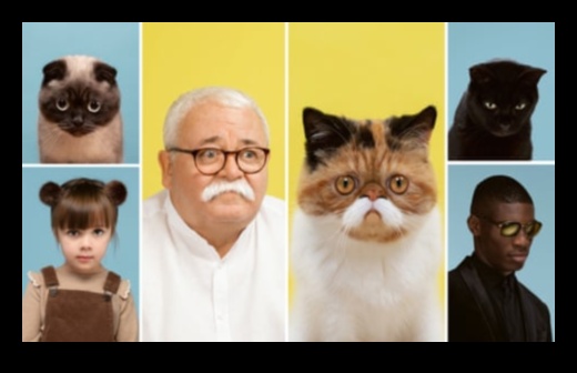 Purr-fect Partners: Exploring Cat-Human Bonds Through History