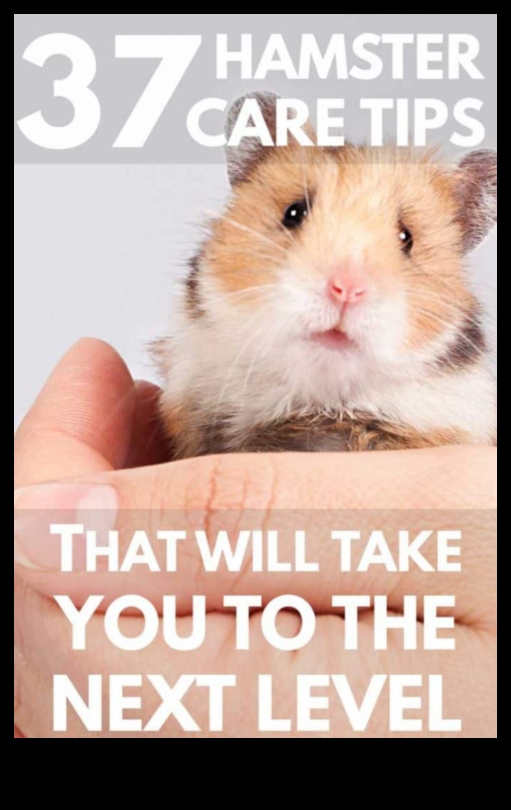 Πέρα από τα βασικά Προηγμένες συμβουλές για τους λάτρεις της φροντίδας χάμστερ 5 Πέρα από τα βασικά: Προηγμένες συμβουλές για τους λάτρεις της φροντίδας χάμστερ