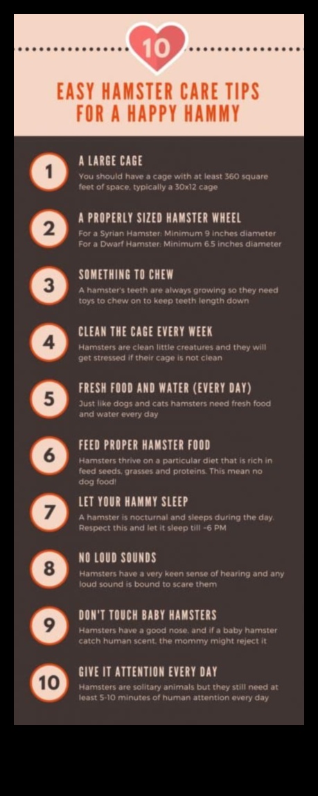 Πέρα από τα βασικά Προηγμένες συμβουλές για τους λάτρεις της φροντίδας χάμστερ 3 Πέρα από τα βασικά: Προηγμένες συμβουλές για τους λάτρεις της φροντίδας χάμστερ