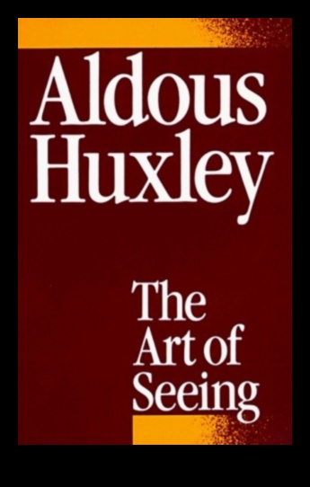 The Power of Perspective: DIY Photography Angles and Techniques