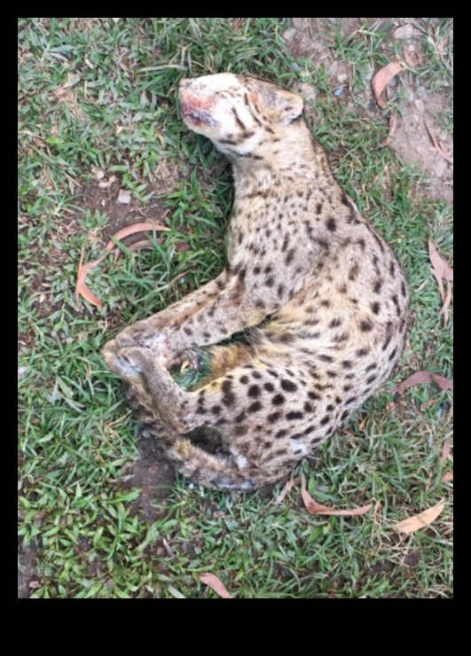 Προπόνηση Urban Jungle: Υπαίθριες ασκήσεις στη μέση της ζωής στην πόλη