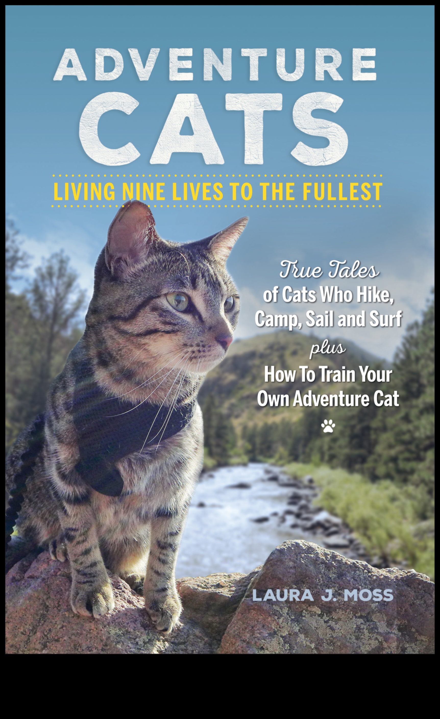 Προπόνηση Urban Jungle: Υπαίθριες ασκήσεις στη μέση της ζωής στην πόλη