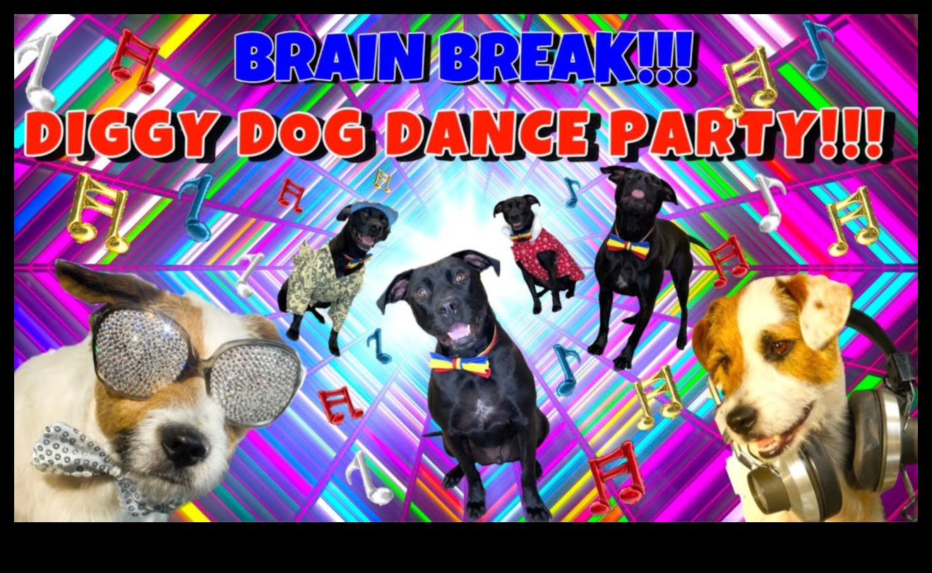 Doggy Dance Party Grooving to Music with Your Pup 3 Doggy Dance Party: Grooving to Music with Your Pup