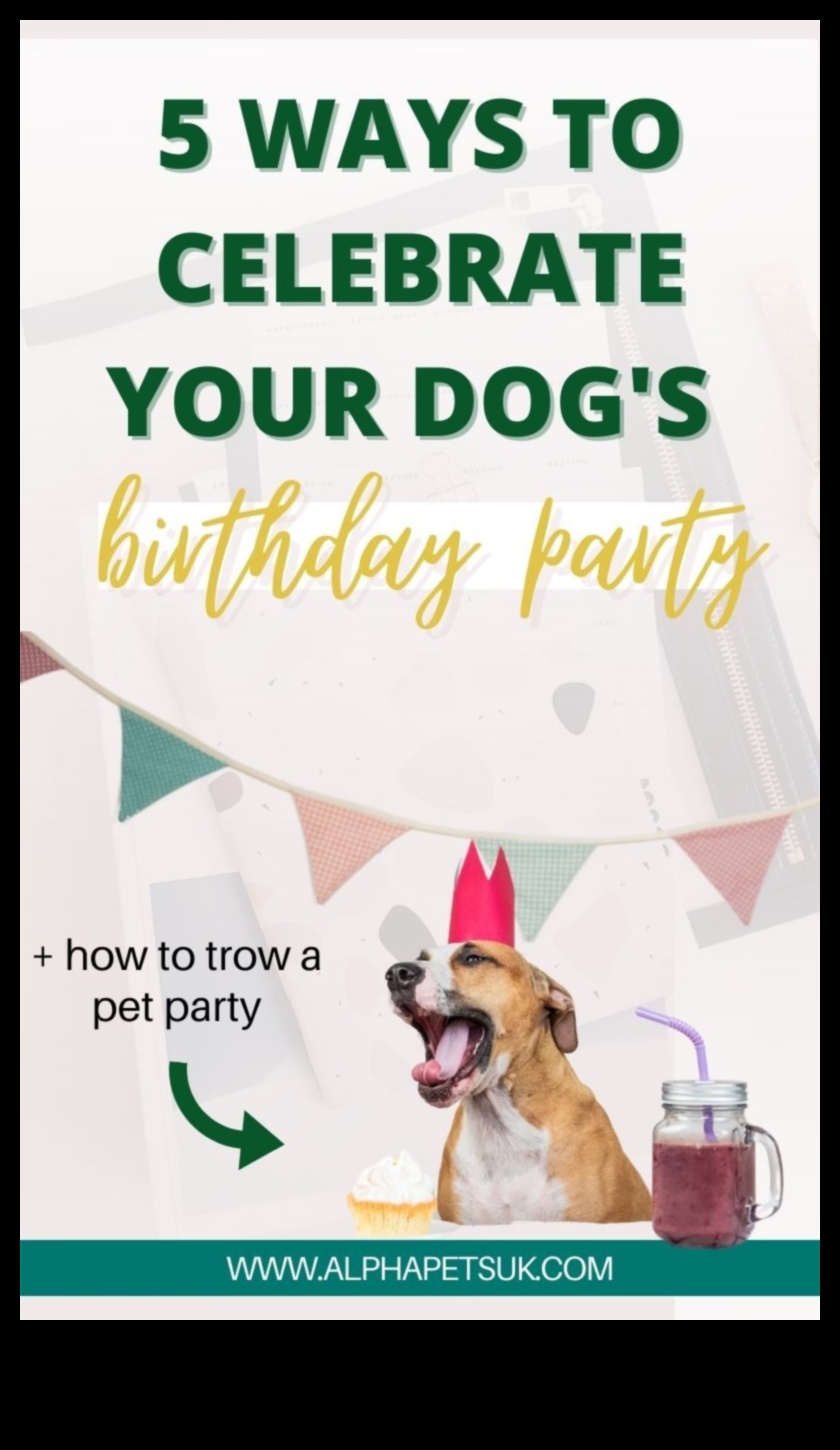Canine Celebrations: Planning Memorable Doggy Birthday Party