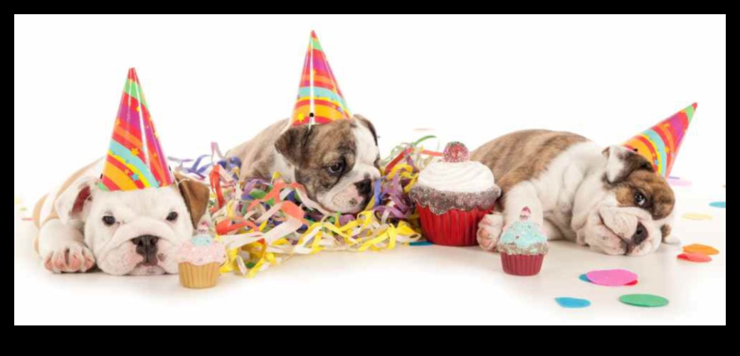 Canine Celebrations: Planning Memorable Doggy Birthday Party