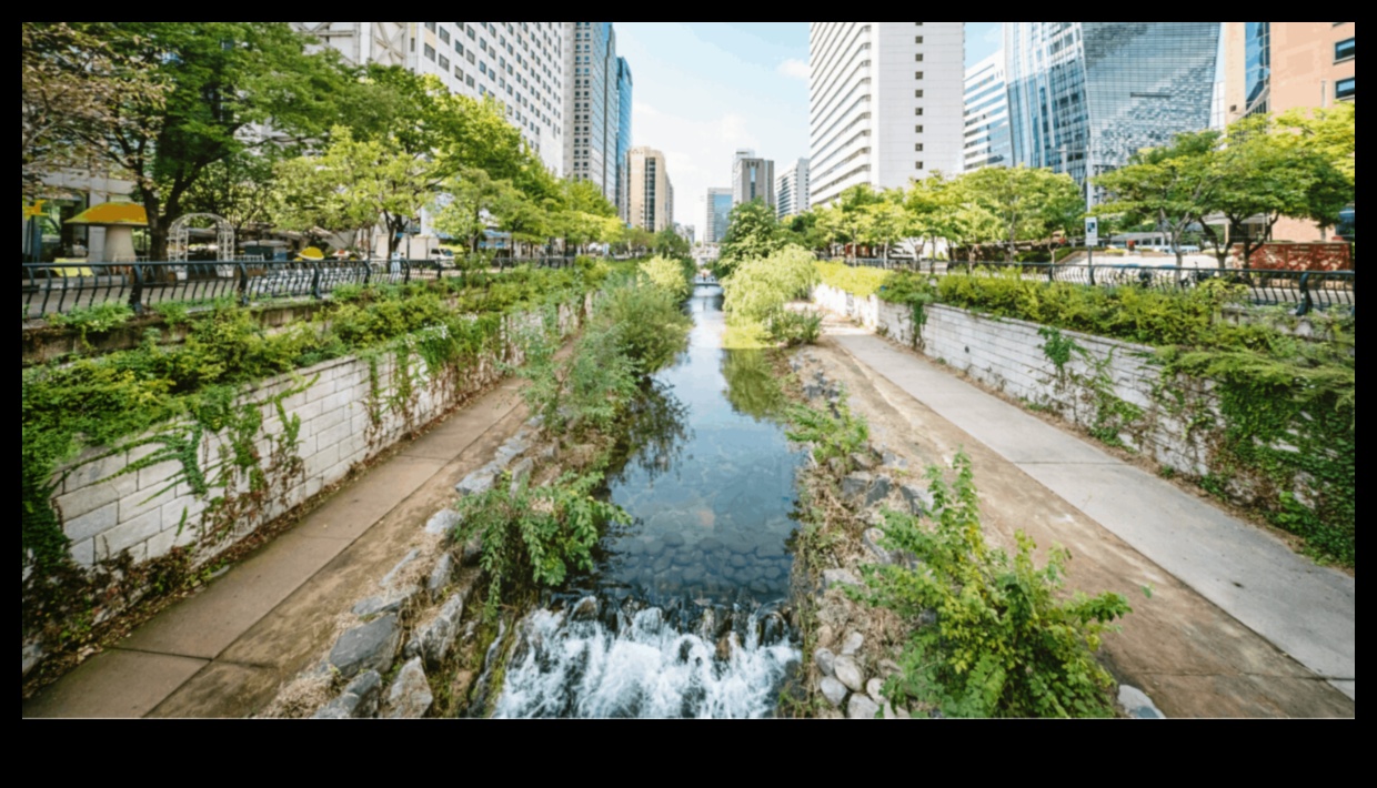 Urban Wilderness: Outdoor Exercises in the Heart of the City