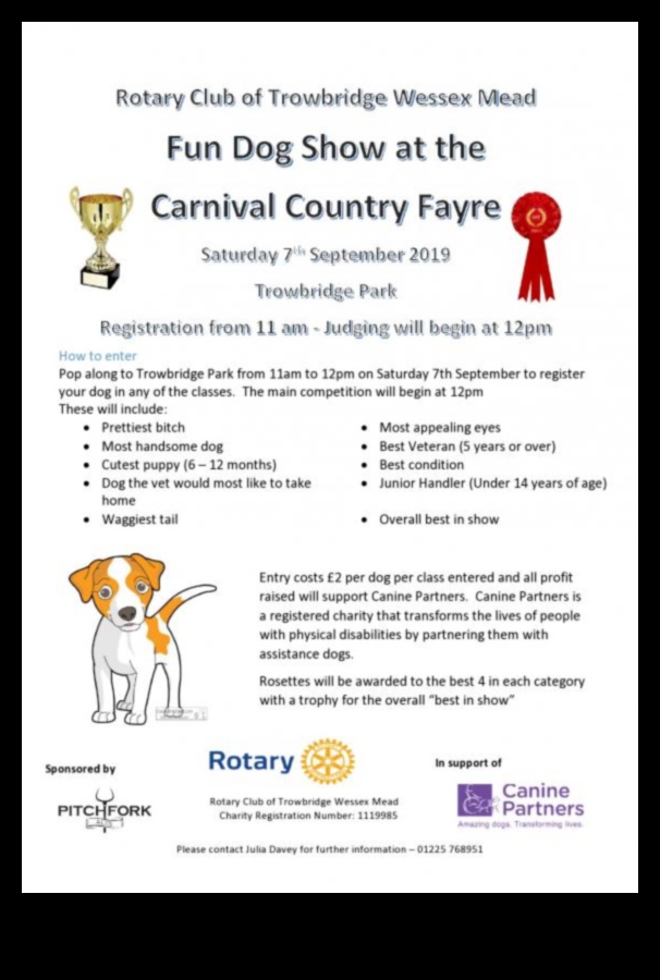 Διαγωνισμοί σκύλων: Συμμετοχή σε διαγωνισμούς διασκεδαστικών σκύλων