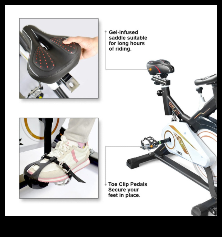 Cardiovascular Cadence: The Rhythm of a Healthy Heart