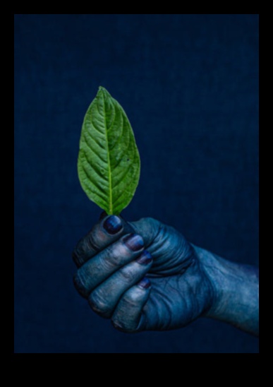 Nature in Ink: Capturing the Essence of the Outdoors