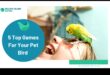 Birdwatching Bliss: Entertaining Activities for Pet Birds