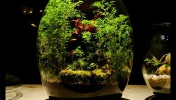 Cityscape Serenity: Urban Outdoor Workouts για Ψυχική Ευεξία