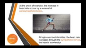 Heartbeat Harmony: Discovering Joy in Cardiovascular Fitness