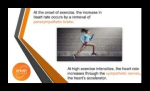 Heartbeat Harmony: Discovering Joy in Cardiovascular Fitness