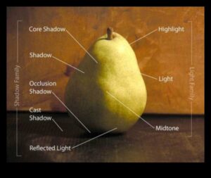 Serenity in Shadows: Exploring Light and Still Life