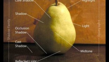 Serenity in Shadows: Exploring Light and Still Life