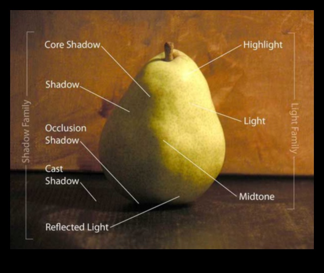 Serenity in Shadows: Exploring Light and Still Life