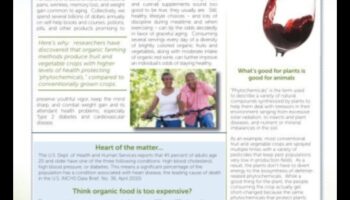 Ζωντανή γήρανση: Πώς η άσκηση συμβάλλει στη χαριτωμένη και ενεργή γήρανση