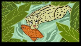 Εκπαιδεύσου σαν γάτα της ζούγκλας με Αστικές Προπονήσεις Εκπαίδευσης Ζούγκλας απότιση τιμής σε ύπαιθρο στη διάρκεια της ζωής στην πόλη 1 Προπόνηση Urban Jungle: Υπαίθριες ασκήσεις στη μέση της ζωής στην πόλη