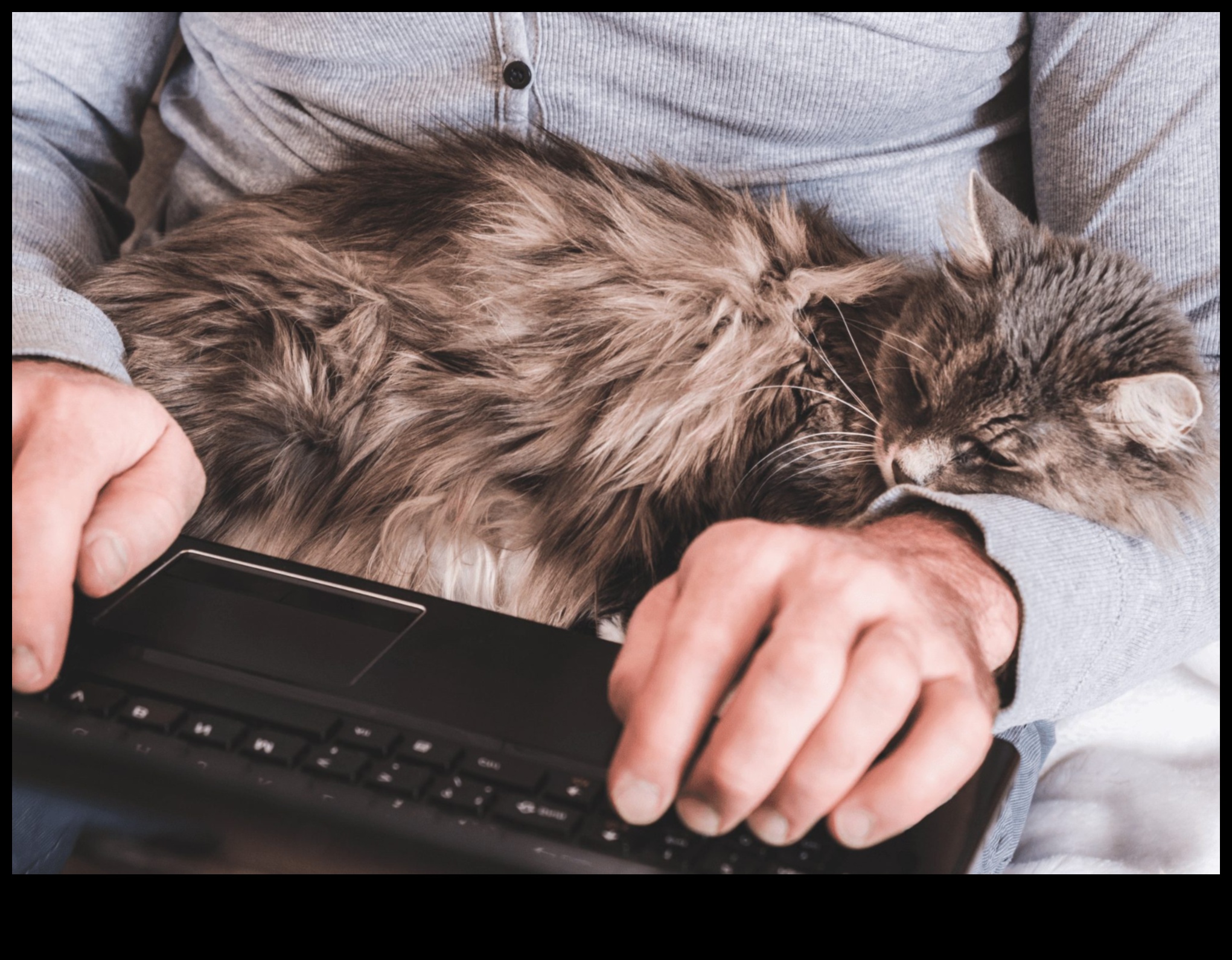 Η σύνδεση της γάτας: Κατανόηση των δεσμών μεταξύ των ειδών με τη γάτα σας