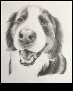 Graphite Shadows: Mastering the Play of Light and Dark in Pencil