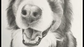 Graphite Shadows: Mastering the Play of Light and Dark in Pencil