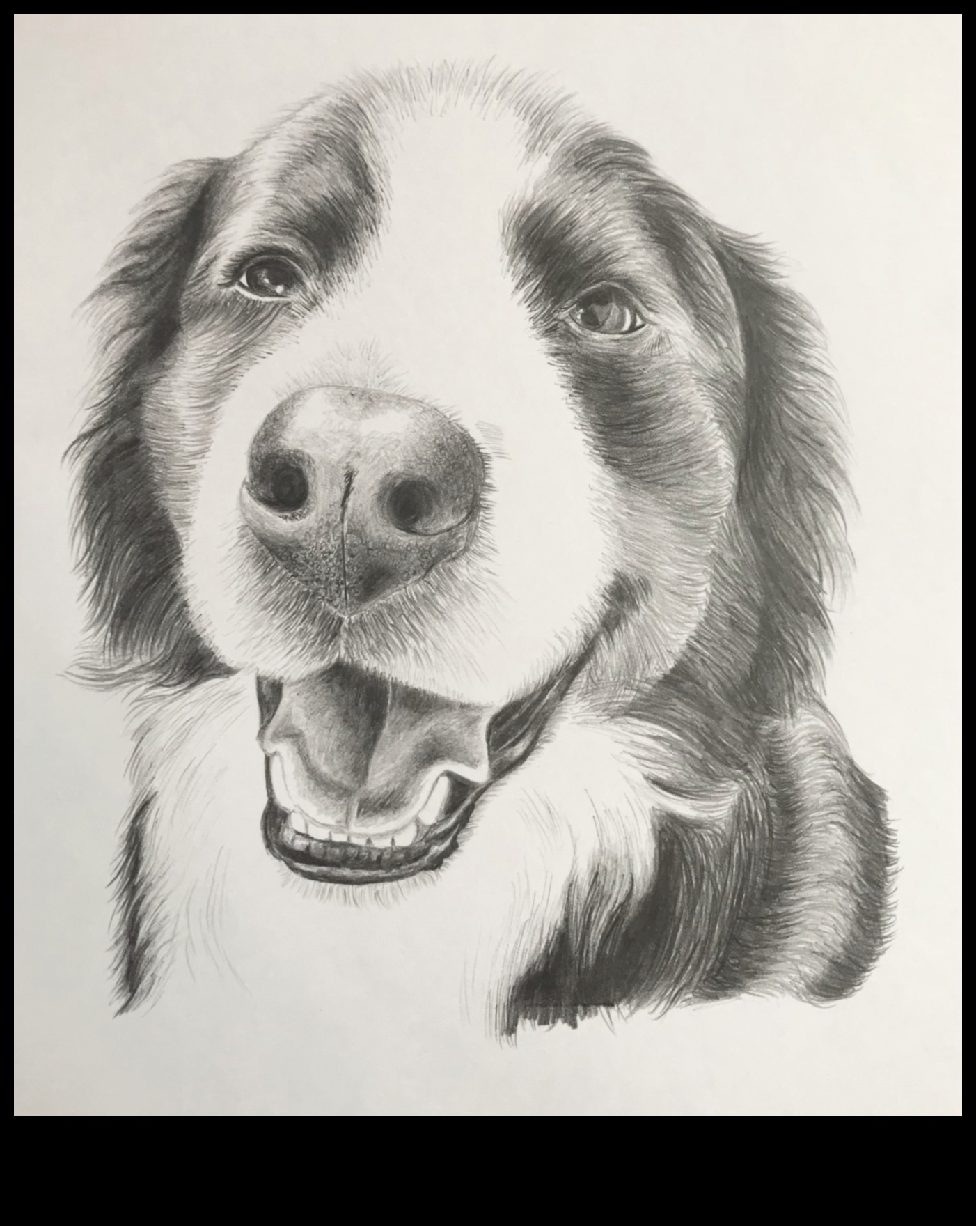 Graphite Shadows: Mastering the Play of Light and Dark in Pencil