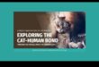 Purr-fect Partners: Exploring Cat-Human Bonds Through History