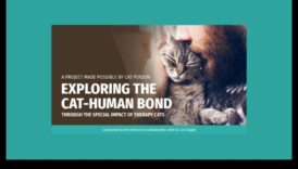 Purr-fect Partners: Exploring Cat-Human Bonds Through History