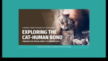 Purr-fect Partners: Exploring Cat-Human Bonds Through History