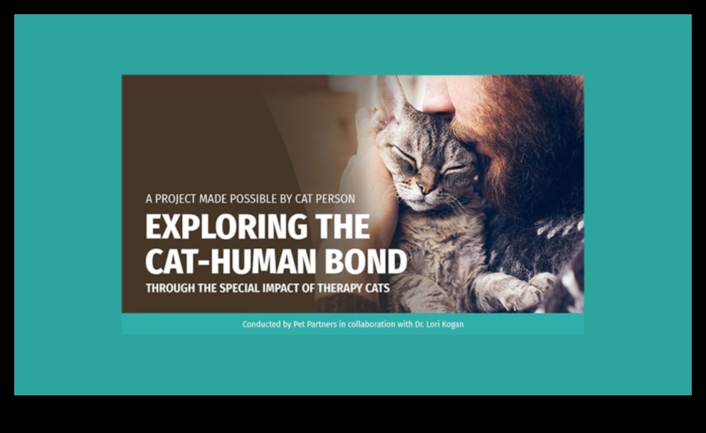 Purr-fect Partners: Exploring Cat-Human Bonds Through History