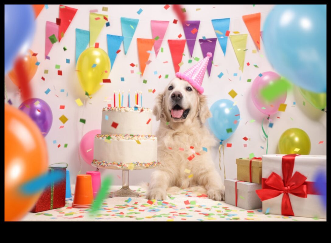 Canine Celebrations: Planning Memorable Doggy Birthday Party