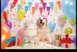Canine Celebrations: Planning Memorable Doggy Birthday Party